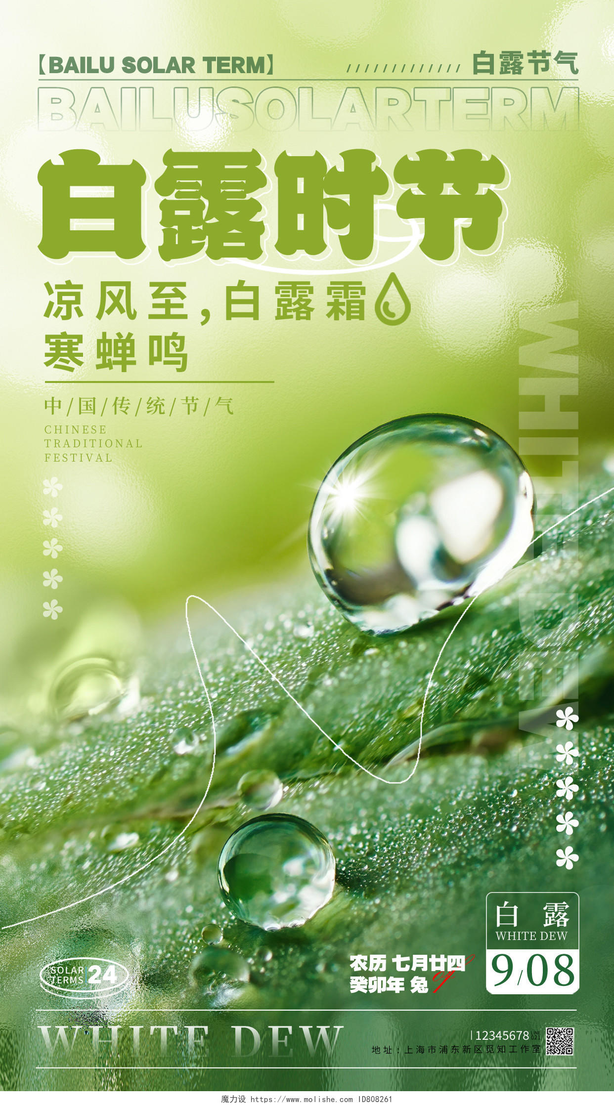绿色磨砂玻璃风白露时节白露节气宣传海报白露节气手机宣传海报
